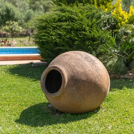 Holiday home Cas Mostatxet - *