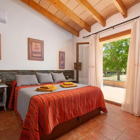 Holiday home Cas Mostatxet - *